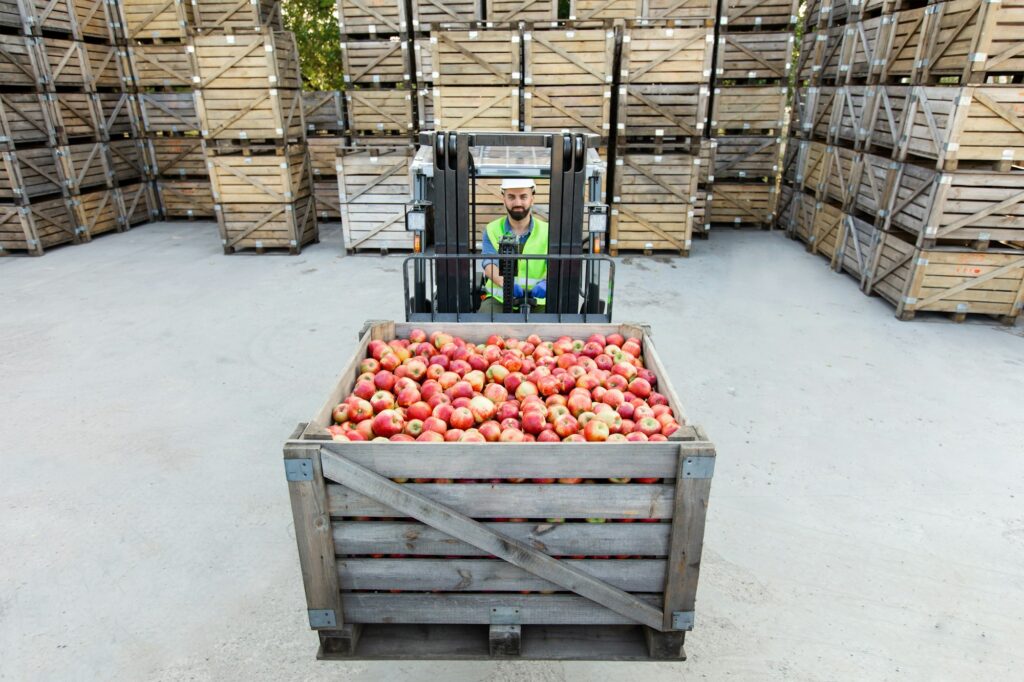 Modern production and industry, work at storage and sale of organic fruits